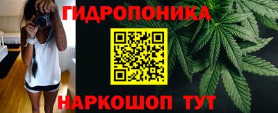СК Гусь-Хрустальный